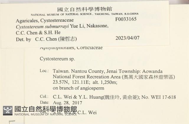 登錄號:F0033165藏品圖，第3張