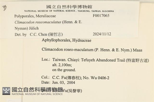 登錄號:F0017065藏品圖，第4張