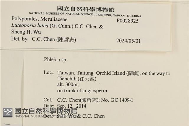 登錄號:F0028925藏品圖，第4張