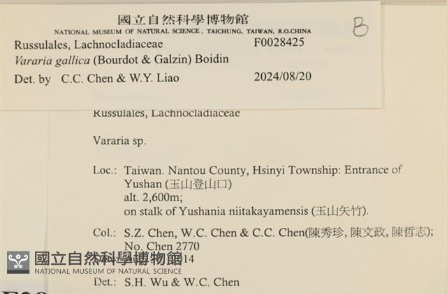 登錄號:F0028425藏品圖，第3張