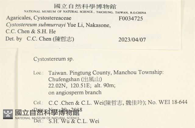 登錄號:F0034725藏品圖，第3張