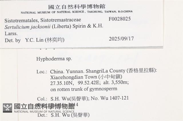 登錄號:F0028025藏品圖，第3張