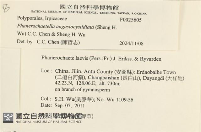 登錄號:F0025605藏品圖，第4張