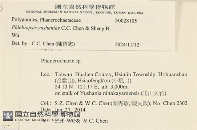 登錄號:F0028105藏品圖，第3張