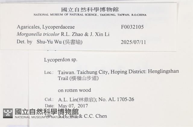 登錄號:F0032105藏品圖，第3張