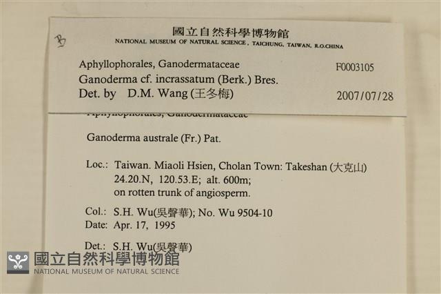 登錄號:F0003105藏品圖，第6張