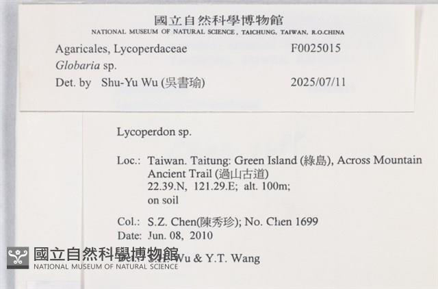 登錄號:F0025015藏品圖，第4張