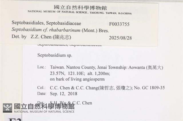 登錄號:F0033755藏品圖，第3張