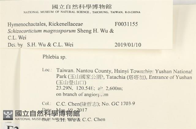 登錄號:F0031155藏品圖，第3張