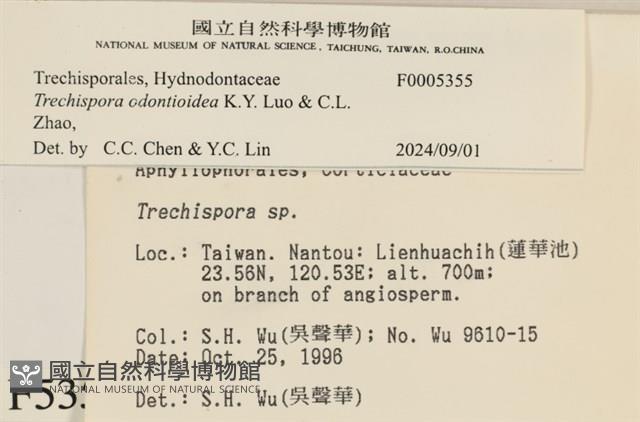 登錄號:F0005355藏品圖，第3張