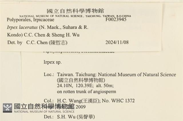 登錄號:F0023945藏品圖，第4張
