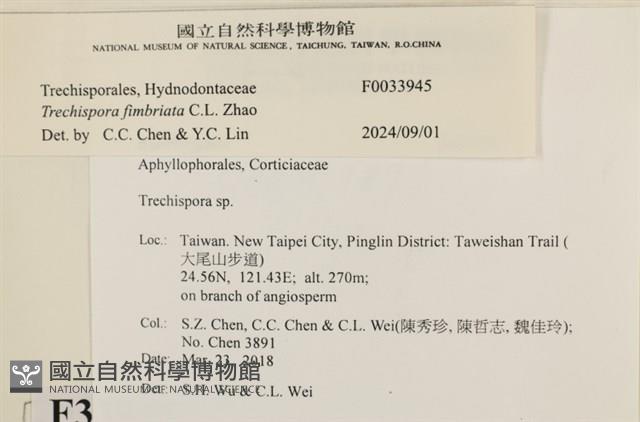 登錄號:F0033945藏品圖，第3張