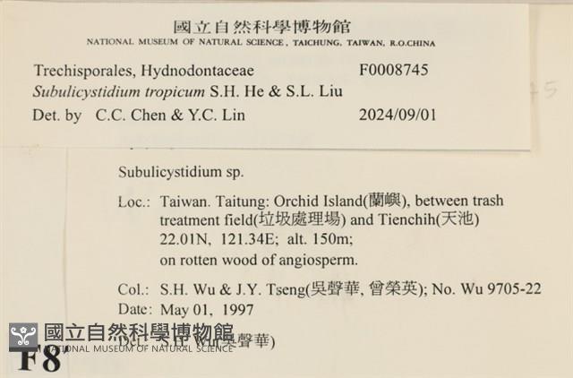 登錄號:F0008745藏品圖，第3張