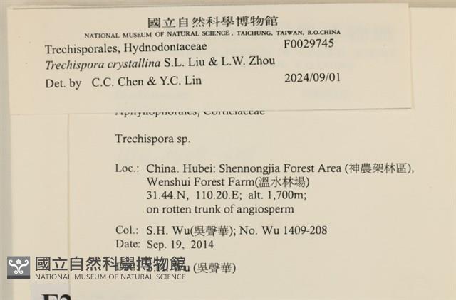 登錄號:F0029745藏品圖，第3張