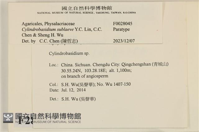 登錄號:F0028045藏品圖，第3張