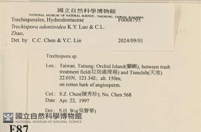 登錄號:F0008795藏品圖，第3張