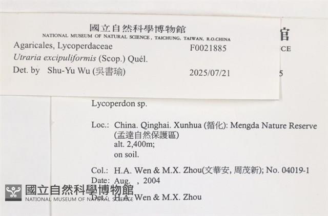 登錄號:F0021885藏品圖，第4張