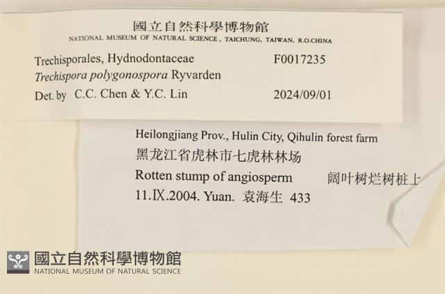 登錄號:F0017235藏品圖，第3張
