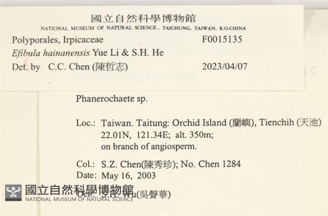 登錄號:F0015135藏品圖，第3張