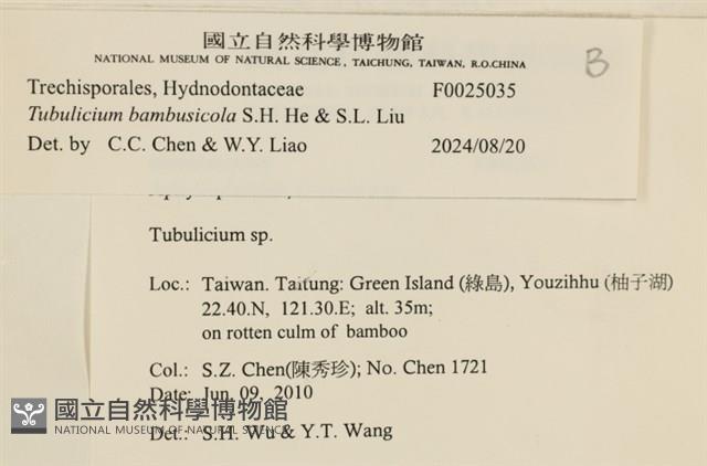 登錄號:F0025035藏品圖，第4張