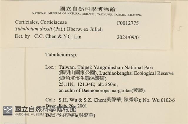 登錄號:F0012775藏品圖，第4張