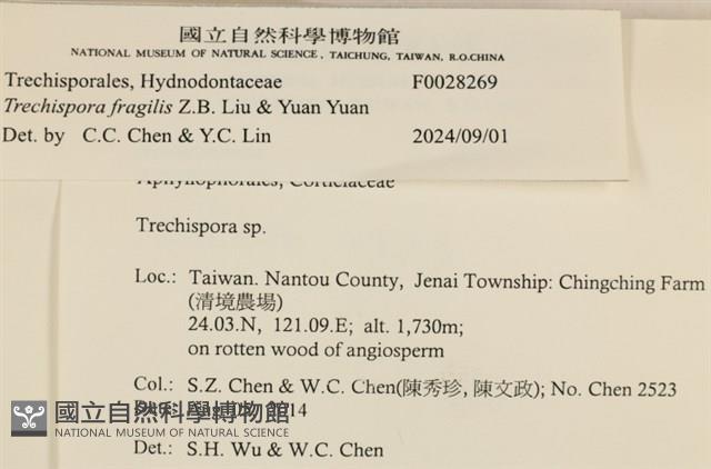 登錄號:F0028269藏品圖，第3張