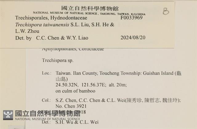 登錄號:F0033969藏品圖，第3張