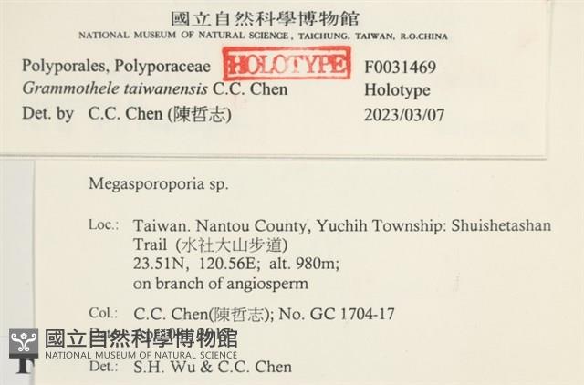 登錄號:F0031469藏品圖，第3張