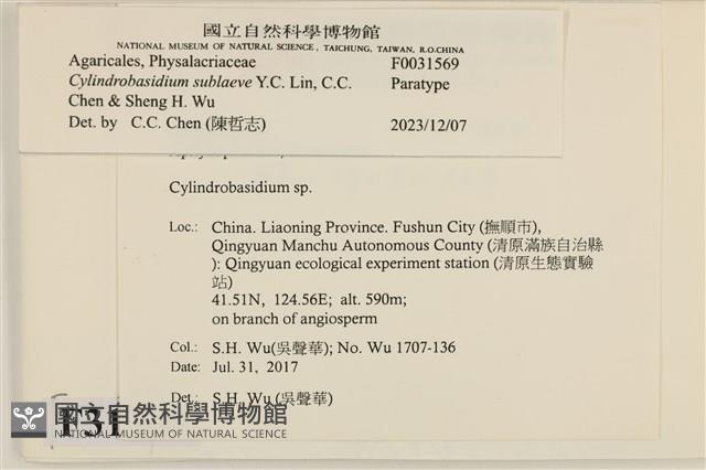 登錄號:F0031569藏品圖，第3張