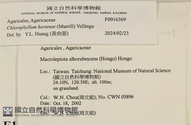登錄號:F0016369藏品圖，第5張