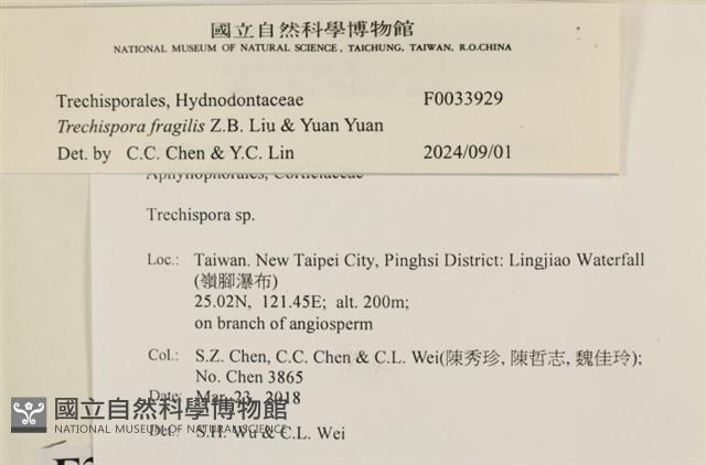 登錄號:F0033929藏品圖，第3張