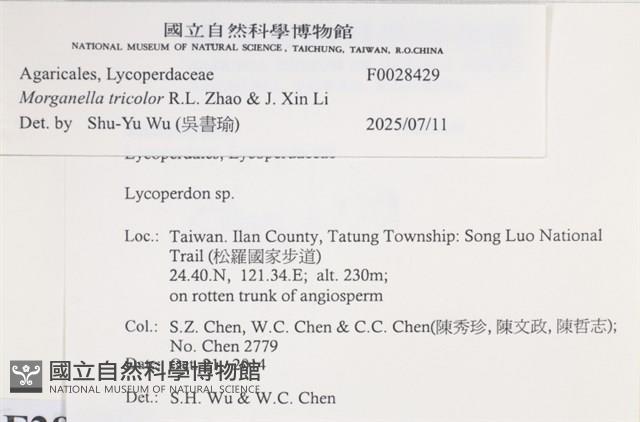 登錄號:F0028429藏品圖，第3張