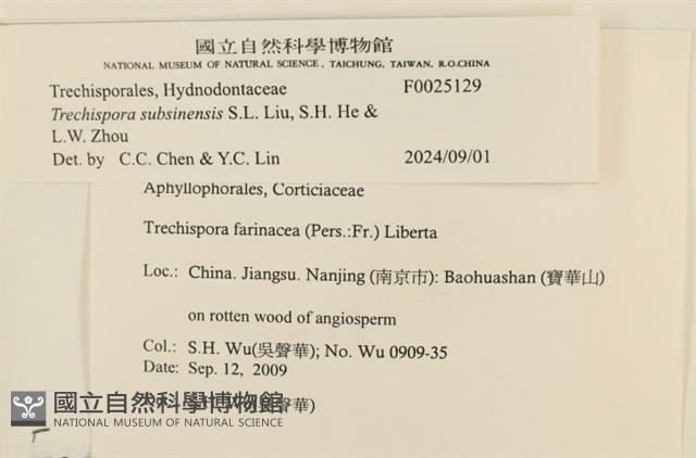 登錄號:F0025129藏品圖，第3張