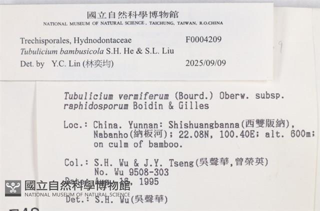 登錄號:F0004209藏品圖，第4張