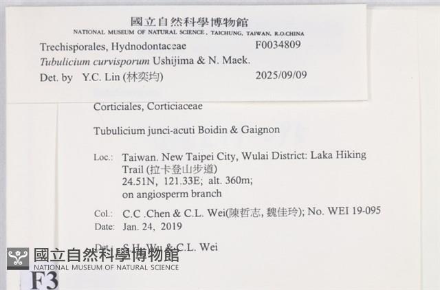 登錄號:F0034809藏品圖，第3張