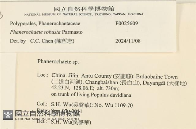 登錄號:F0025609藏品圖，第4張
