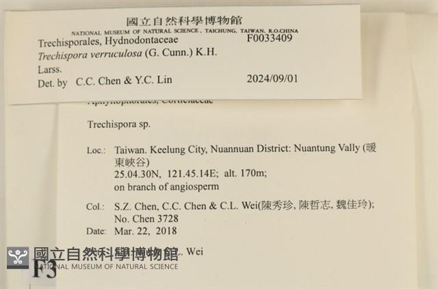 登錄號:F0033409藏品圖，第3張