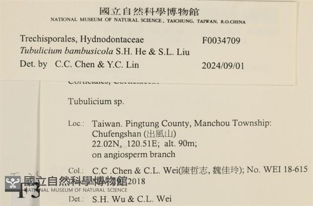 登錄號:F0034709藏品圖，第3張