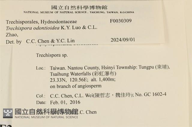 登錄號:F0030309藏品圖，第3張