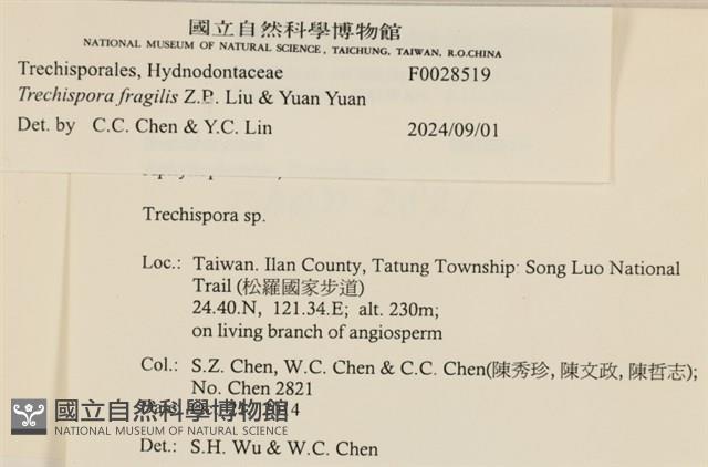 登錄號:F0028519藏品圖，第4張