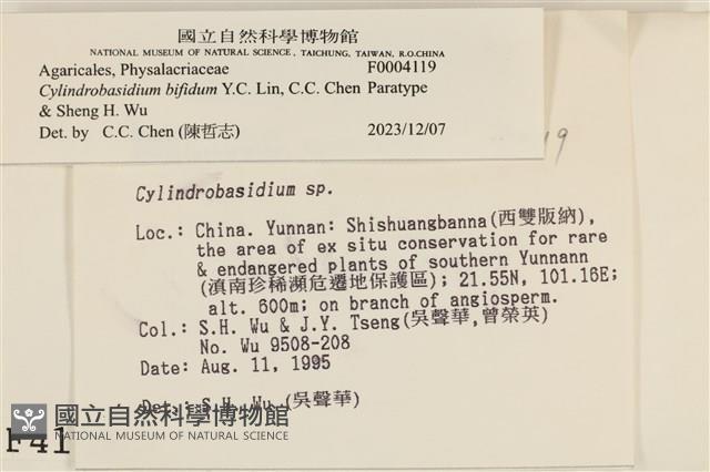 館號:F0004119藏品圖，第3張