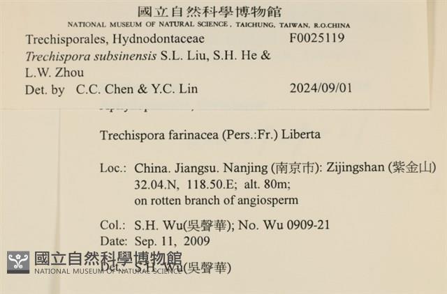 登錄號:F0025119藏品圖，第3張