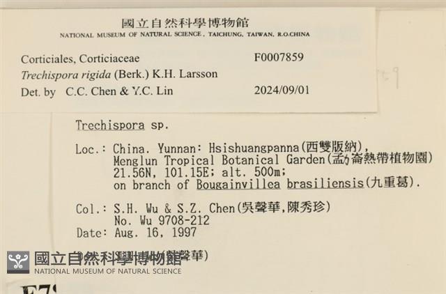 登錄號:F0007859藏品圖，第3張