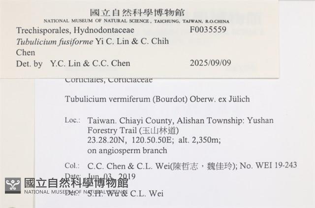 登錄號:F0035559藏品圖，第2張