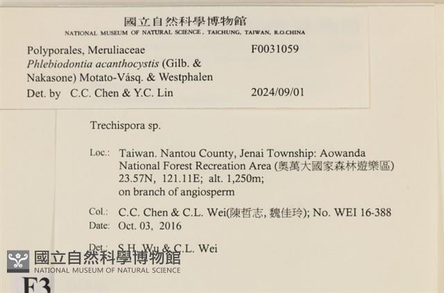 登錄號:F0031059藏品圖，第3張