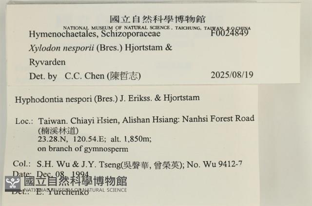 登錄號:F0024849藏品圖，第4張