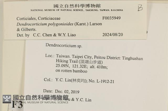 登錄號:F0035949藏品圖，第2張