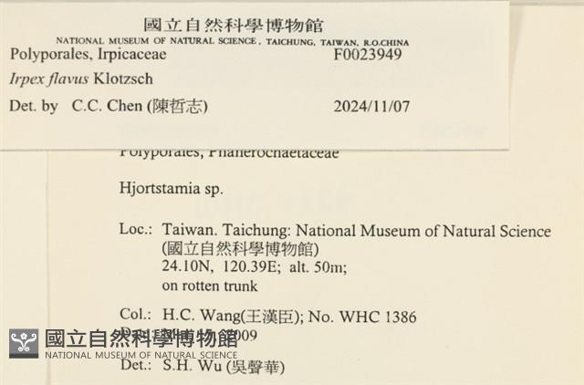 登錄號:F0023949藏品圖，第4張