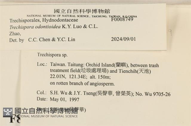 登錄號:F0008749藏品圖，第4張
