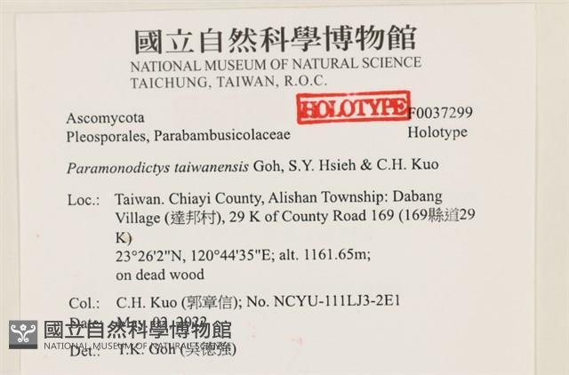 登錄號:F0037299藏品圖，第2張